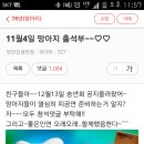 11월5일 망아지 출석부~~♡♡ 이미지