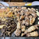 푸른바당돼지