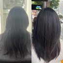 제일교통(주) | 강남 학동역미용실 논현동미용실 주헤어 크리닉 후기 I 주헤어 하니 디자이너
