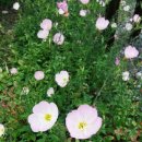 나정주유소 이미지