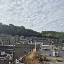 중앙동249 이미지