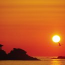 카메라 무작정 따라하기 이미지