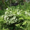 점말농장 이미지