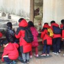 시흥 도일 태권도장 이미지