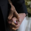 ✨[wedding] 본식 스냅 - 비아잔떼