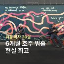 호주가 | 호주 워홀 후기 30살의 6개월 현실 회고 (Q&A)