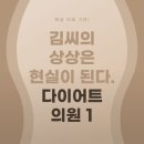 김씨의 상상은 현실이 된다 둔산동 복부다이어트 의원 후기 첫번째