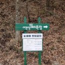 들판의추억목장 | [강원도/평창] 날씨 상관없이 즐길 수 있는 '대관령 양떼 목장' 후기