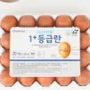 더신선 네이버블로그
