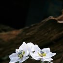 마음여행 이야기 이미지