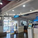 레브호텔제주 | 제주도 아기랑 강아지 동반 여행 제주엔젤렌트카 카시트 대여 제휴할인 찐후기