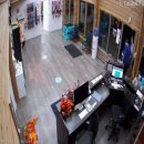 애견친구 이미지