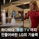 LG 이젠 투명TV까지 만들어냈다..!! 이미지