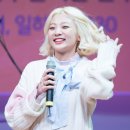 안지영 카카오 검색결과