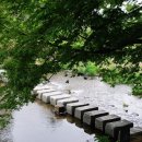 경북 영주 가볼 만한 곳 이미지