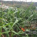 형근농장 이미지