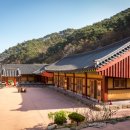 힐링소프트웨어 이미지