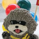 소담하개 이미지