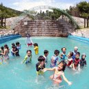 V랜드 물놀이장 이미지