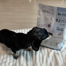 (주)와우소프트 | 기능성사료 닥스훈트 체중관리 후코051soft 솔직 급여 후기