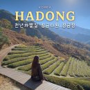 화개초등학교 | 하동여행 필수 코스, 그림 같은 풍경의 정금차밭 정금다원 녹차밭