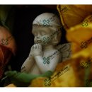 (주)메디앤팜 이미지