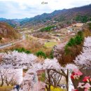 금산유치원 이미지