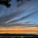 바다의별약국 이미지