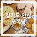 [경기도 안산/오복당] 대만식중식 고잔동맛집 오복당 샤오룽바오 해물누룽지탕 크림새우 후기