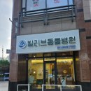 애터미 분당로얄센터 | 애 키우고, 개 키우고, 고양이까지 키우는 집의 동물병원 추천_ 분당 정자동 빌리브동물병원