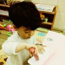 새풀로 Daum카페