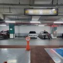 분당중학교 | [분당 구미동 모임] 팔복 오리 - 럭셔리 끝판왕, 새로 오픈한 중식당 솔직 후기