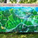 성주산자연휴양림 이미지