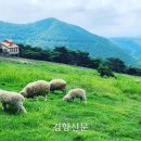 아름드리목장 이미지