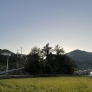 단양댕댕이 애견가족펜션 블랙 | 단양 댕댕이 애견펜션 블랙 푸들2 애견동반숙소 추천