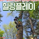 힐링플레이 네이버블로그