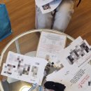 시안하우스 | W-42 절대적 성공 보장) 리저브 하우스 촬영시안 꿀팁 및 공유 (+촬영 후기)