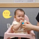 유방녕의화도반점 이미지