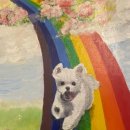 무지개다리 이미지