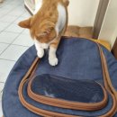 두리동물클리닉 이미지