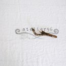 유성대로(유성-36) 이미지