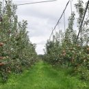 정식농장 이미지