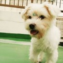 옹기종기 이미지