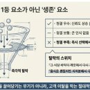 코아루횟집 | 같은메뉴판매에Q.S.C중 1등확율높은식당은?