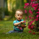 글로리아어린이집 이미지