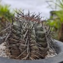 연월농장 이미지