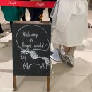 베이글 월드(Bagel world) 이미지