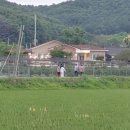 김태동 농장 네이버블로그