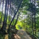 소아르미술관 이미지