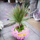 수경 행정사사무소 이미지